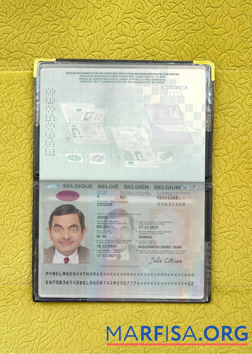 Realistic Belgium passport 2020 present photolook download for verification